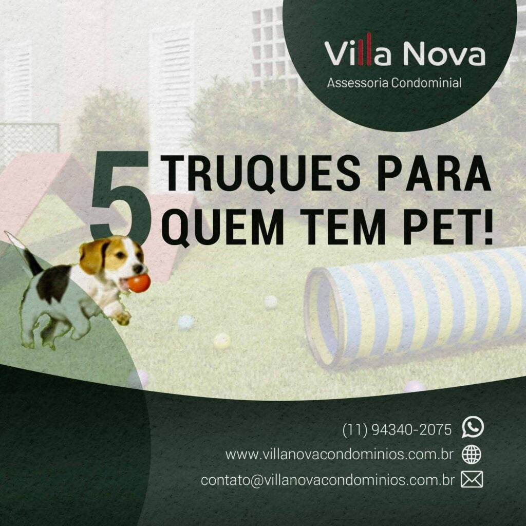 Truques para quem tem pets